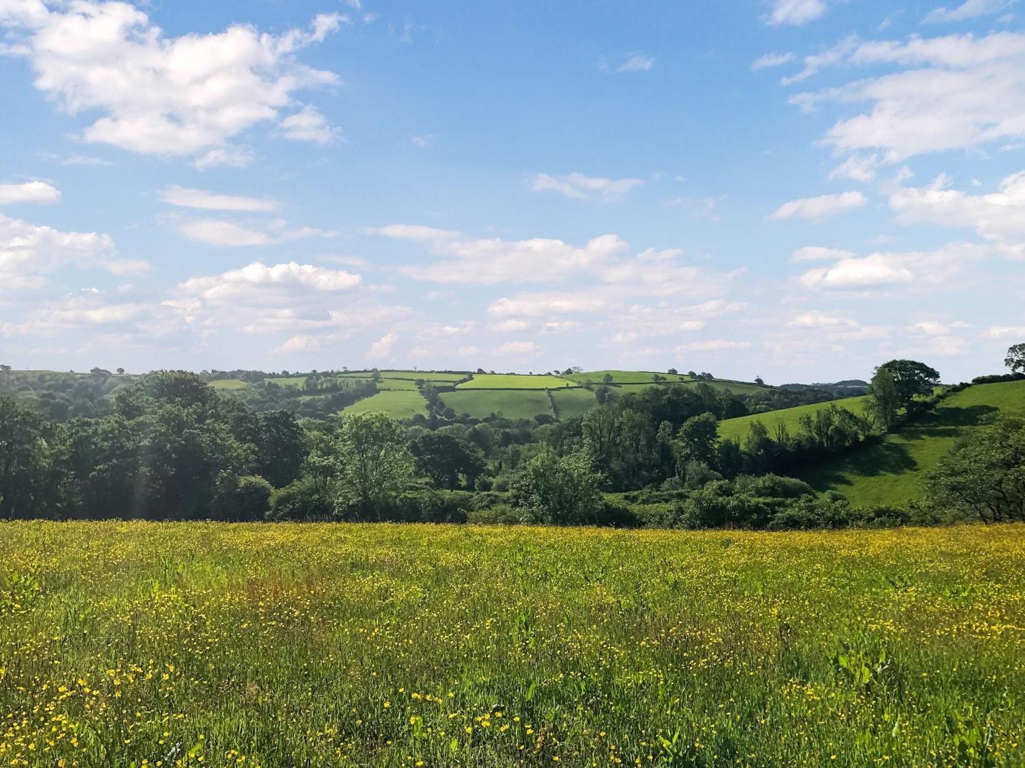 LlanfynyddYnywsen Dairy Flat别墅 外观 照片